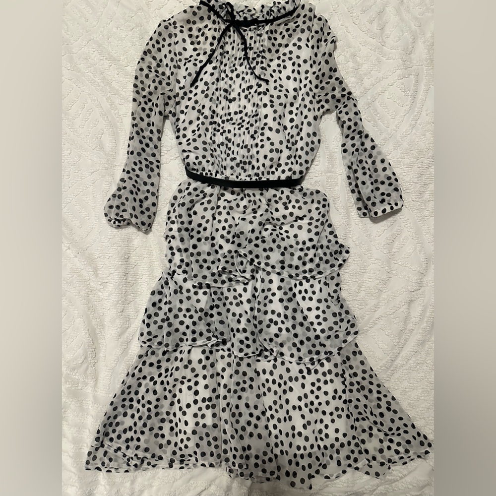 Eva Mendes NY & Co Black and White Polka Dot ruffle dress